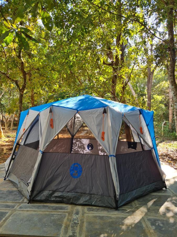 Captain'S Camp Sirsi Kültér fotó